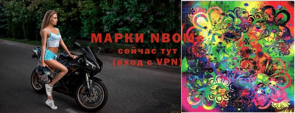 прущие крисы Балахна