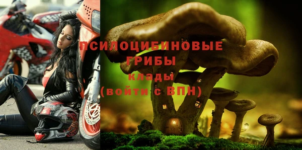 прущие крисы Балахна