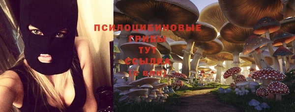 гашик Балабаново